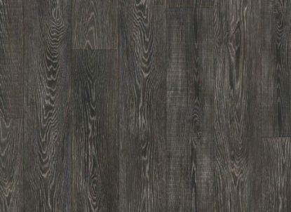 Picture of Olympus Contempo Oak