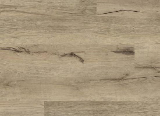 Picture of Augustine Oak