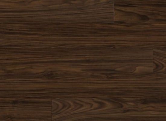 Picture of Black Walnut