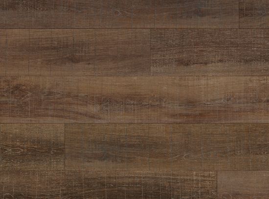 Picture of Waterfront Oak