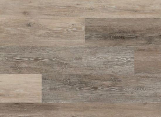 Picture of Blackstone Oak