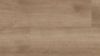 Picture of Copano Oak